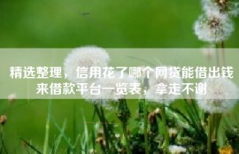 精选整理，信用花了哪个网贷能借出钱来借款平台一览表，拿走不谢