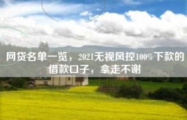 网贷名单一览，2021无视风控100%下款的借款口子，拿走不谢