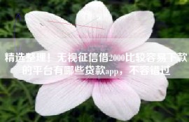 精选整理！无视征信借2000比较容易下款的平台有哪些贷款app，不容错过