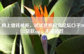 网上借钱被拒，试试这些网贷论坛口子2022贷款app，不容错过