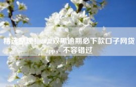 精选整理！2022双黑逾期必下款口子网贷app，不容错过