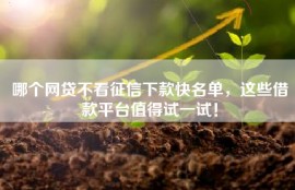 哪个网贷不看征信下款快名单，这些借款平台值得试一试！