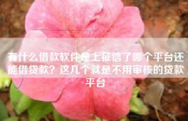 有什么借款软件是上征信了哪个平台还能借贷款？这几个就是不用审核的贷款平台