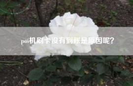 pos机刷卡没有到账是原因呢？