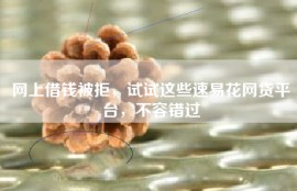 网上借钱被拒，试试这些速易花网贷平台，不容错过