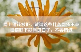 网上借钱被拒，试试这些什么网贷不查征信好下款网贷口子，不容错过