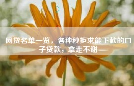 网贷名单一览，各种秒拒求能下款的口子贷款，拿走不谢