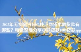 2022年无视黑白100%秒下网贷小额贷款有哪些？精选整理分享小额贷款1000贷款app