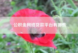 公积金网络贷款平台有哪些