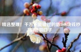 精选整理！千万不能错过的借3000块钱秒到借款口子