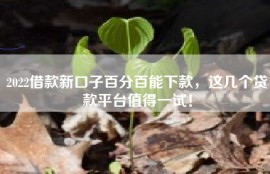 2022借款新口子百分百能下款，这几个贷款平台值得一试！