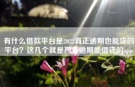 有什么借款平台是2022真正逾期也能贷的平台？这几个就是严重逾期能借钱的app