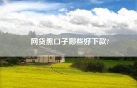 网贷黑口子哪些好下款?