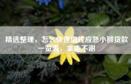 精选整理，怎么快速借钱应急小额贷款一览表，拿走不谢