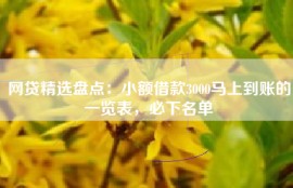 网贷精选盘点：小额借款3000马上到账的一览表，必下名单