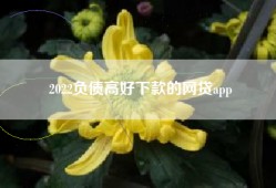 2022负债高好下款的网贷app