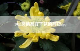 2022负债高好下款的网贷app
