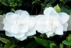 沃尔玛为什么在中国失败？