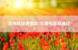 急用钱快速借款2万哪些容易通过?