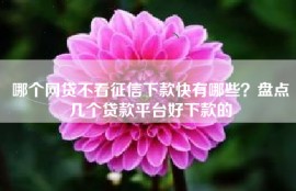 哪个网贷不看征信下款快有哪些？盘点几个贷款平台好下款的
