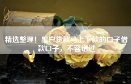 精选整理！黑户贷款马上下款的口子借款口子，不容错过