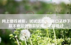 网上借钱被拒，试试这些2022新口子秒下款不查征信借款软件，不容错过