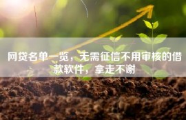 网贷名单一览，无需征信不用审核的借款软件，拿走不谢