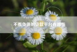 不看负债的贷款平台有哪些