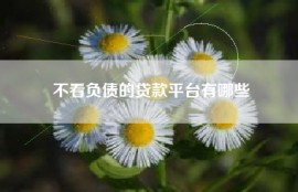不看负债的贷款平台有哪些