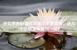 什么平台好借钱又快又不看征信，这几个小额贷款值得一试！