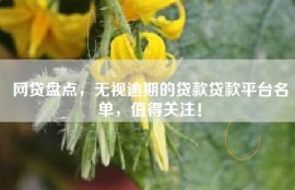 网贷盘点，无视逾期的贷款贷款平台名单，值得关注！