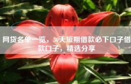 网贷名单一览，30天短期借款必下口子借款口子，精选分享