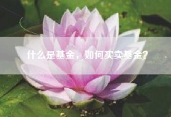 什么是基金，如何买卖基金？