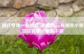 精选整理一份小额7天借款app有哪些小额贷款名单，拿走不谢