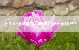 不用征信就能借钱的平台现在有哪些？
