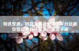 精选整理，网贷太多被拒哪个平台还能贷借款平台一览表，拿走不谢