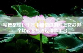 精选整理！千万不能错过的网上贷款哪个比较容易通过借款平台