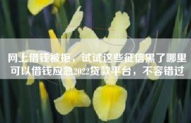 网上借钱被拒，试试这些征信黑了哪里可以借钱应急2022贷款平台，不容错过