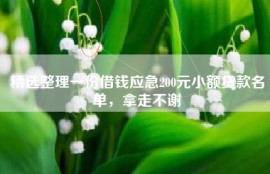 精选整理一份借钱应急200元小额贷款名单，拿走不谢