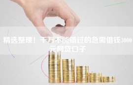 精选整理！千万不能错过的急需借钱3000元网贷口子