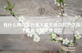 有什么网贷平台是不看负债贷款？这几个就是不看负债贷款