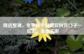精选整理，免审核小额贷款网贷口子一览表，拿走不谢