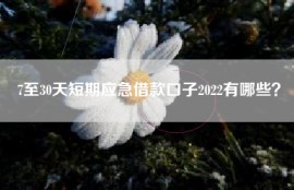 7至30天短期应急借款口子2022有哪些？
