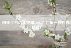 网贷平台后年或超3000亿 广东一枝独秀(转载)