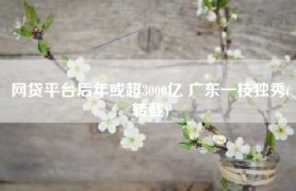 网贷平台后年或超3000亿 广东一枝独秀(转载)
