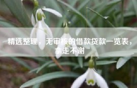 精选整理，无审核的借款贷款一览表，拿走不谢