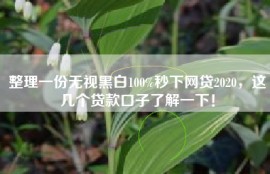 整理一份无视黑白100%秒下网贷2020，这几个贷款口子了解一下！
