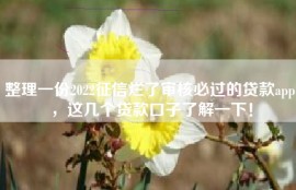 整理一份2022征信烂了审核必过的贷款app，这几个贷款口子了解一下！