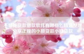 不愁花贷款借款软件有哪些？精选整理分享正规的小额贷款小额贷款