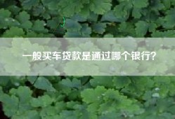 一般买车贷款是通过哪个银行？